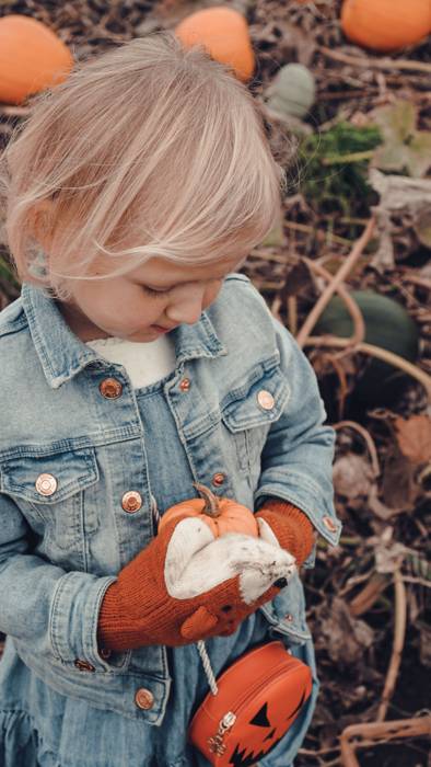 A little girl holding a small pumpkin at the pumpkin patch