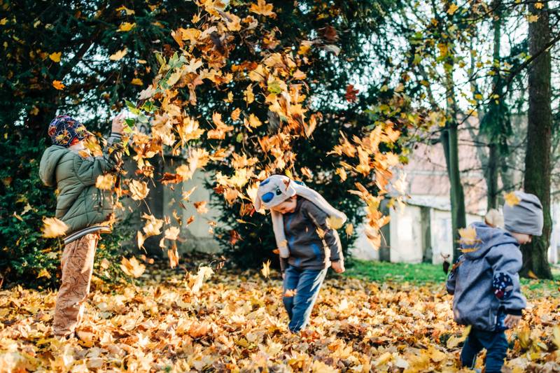 Three kids tossing leaves in golden light